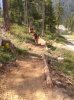 WP_000643.jpg