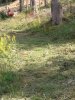 WP_000640.jpg