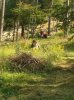 WP_000639.jpg
