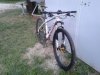 specialized 2.jpg