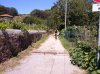 CAM00210.jpg