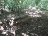 1081083_10200538966812664_1985793855_n.jpg