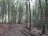 SDC12137.jpg
