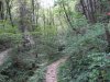 SDC12150.jpg