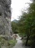 SDC12151.jpg