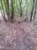 20130915_114640.jpg