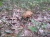 20130915_112953.jpg