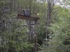 SDC12239.jpg