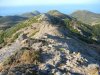 DSCN2079.jpg
