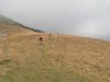P9220161.jpg