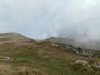P9220148.jpg