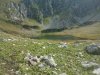 WP_002452.jpg