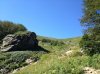 IMG_5551.jpg