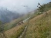 SDC12485.jpg