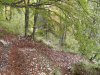 SDC12490.jpg