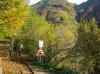 IMG_2661_1.jpg