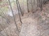 SAM_3549.jpg