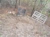 SAM_3550.jpg