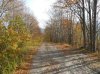 DSCN1000.jpg
