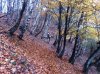 IMG_2156.jpg