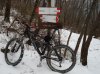 DSC02952.jpg