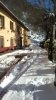 DSC_0218.jpg
