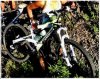 bici.jpg