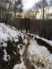 IMG_3259.jpg