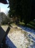 Foto0004.jpg