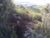 WP_000154.jpg