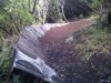 WP_000182.jpg