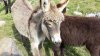 20130911_162740.jpg