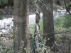 reggiseno nel bosco.jpg