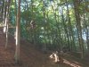 DSCN5641.jpg