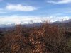 IMG-20131124-WA0000.jpg