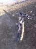 IMG_20131211_135104.jpg