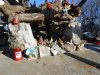 DSCN1714.jpg