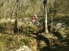WP_002792.jpg