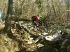WP_002794.jpg