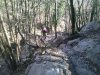 WP_002800.jpg