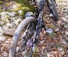 DSCN4937.jpg
