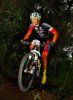 CS20131117220853.jpg