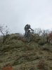 P1080074.jpg