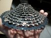 20131222_114415.jpg