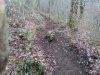 IMG_20140104_142249628.jpg