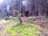 20140111-020.jpg