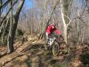 bk - canto14 040.jpg