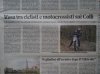 colli.jpg