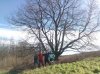 WP_20140126 2.jpg