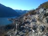 DSC_0156.jpg